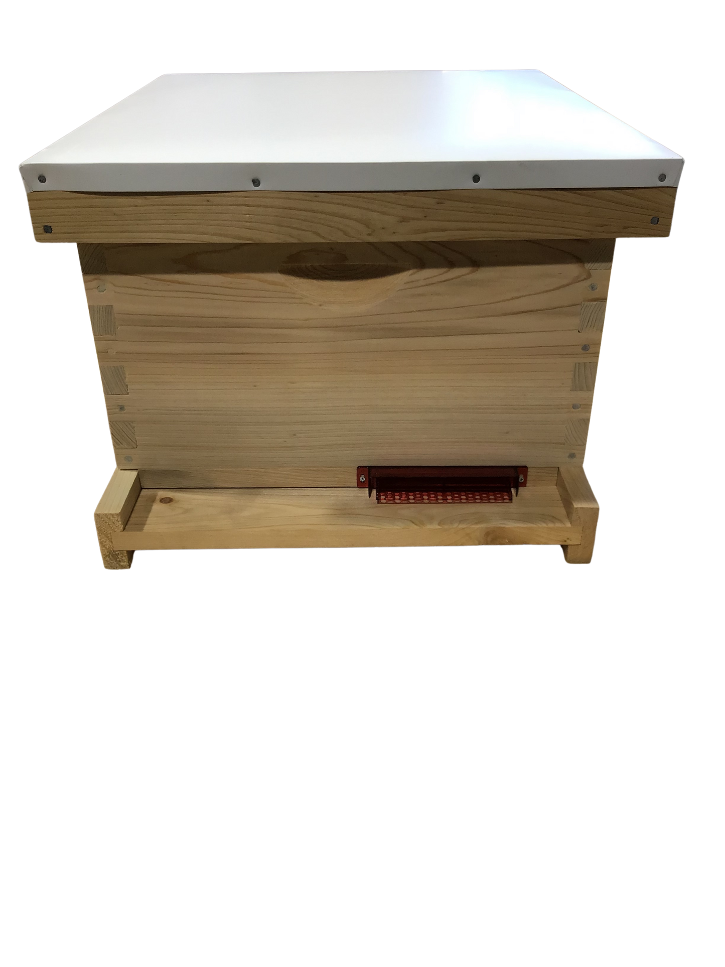 Beetle Guardian Lower