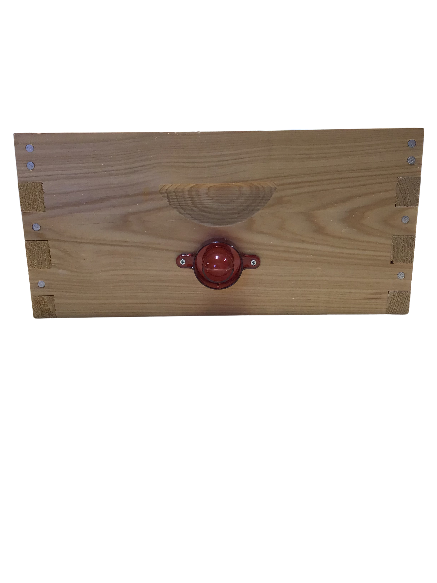 Beetle Guardian Upper